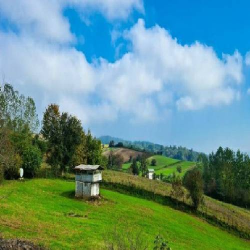 دانلود آهنگ ولنتاینت مبارک باشه عشقم هنوزم هم جای توست رو تخم چشمم مجتبی منتظری